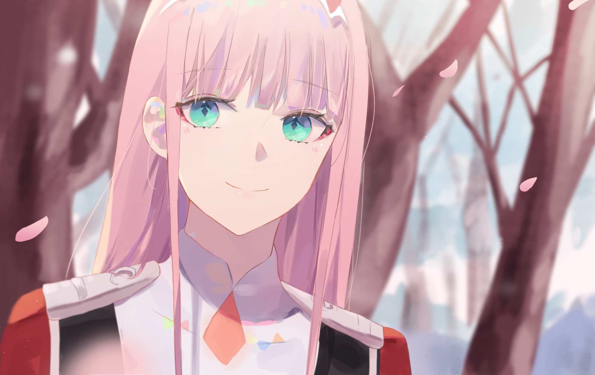 87980648_p0.png